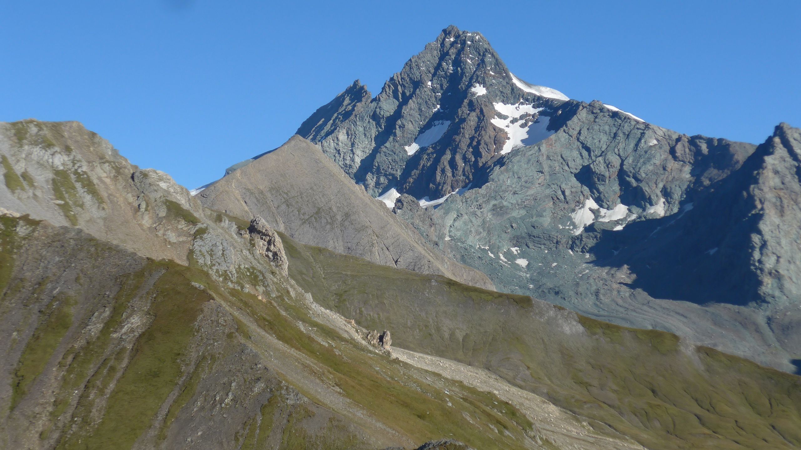 Weißer Knoten
